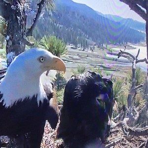 Meet your Posher, Helen